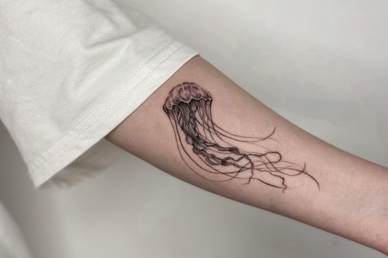 Jellyfish tattoo