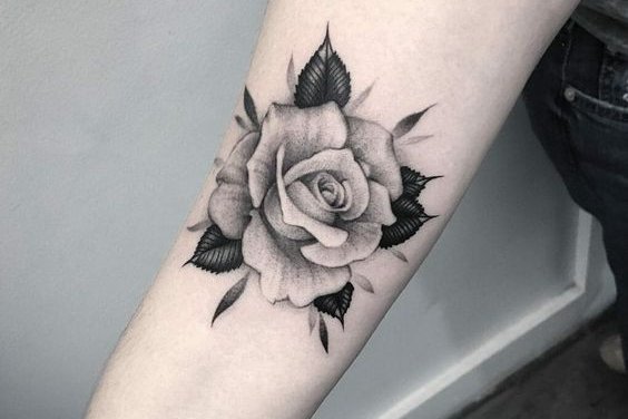 Rose tattoo