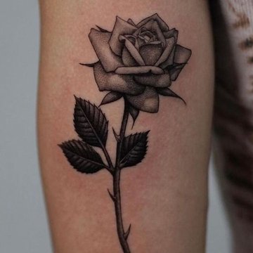Rose tattoo