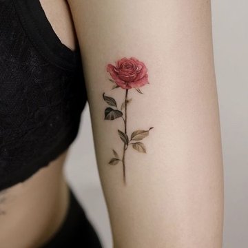 Rozes tetovējums