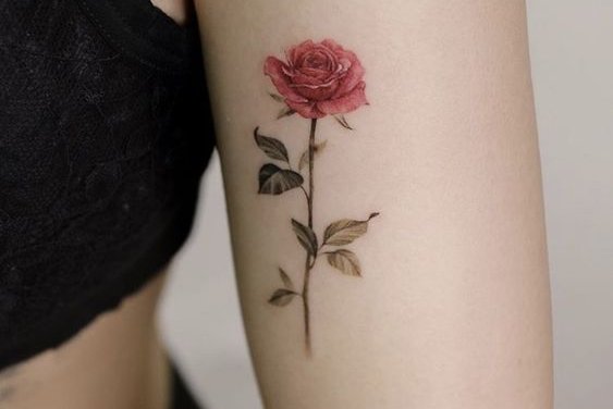 Rose tattoo