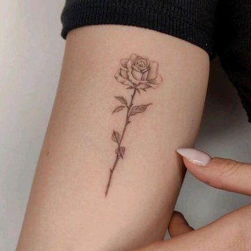 Rose tattoo