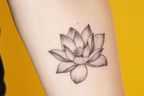 Lotus tattoo