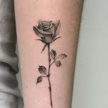 Rose tattoo