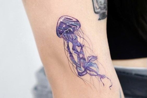 Jellyfish tattoo